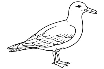seagull line art silhouette vector illustration