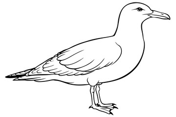 seagull line art silhouette vector illustration