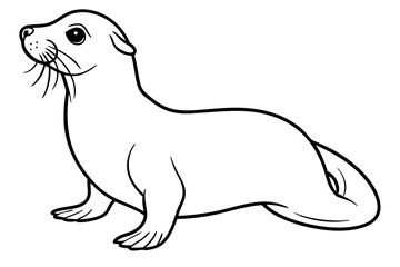 seal line art silhouette vector illustration