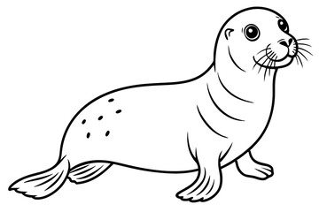 seal line art silhouette vector illustration