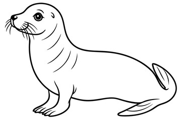 seal line art silhouette vector illustration
