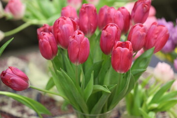 A beautiful vase filled with many pink tulips.