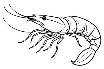 shrimp line art silhouette vector illustration