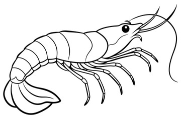 shrimp line art silhouette vector illustration