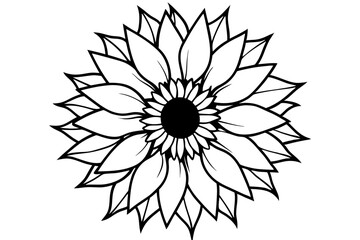 sunflower line art silhouette vector illustration