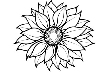 sunflower line art silhouette vector illustration