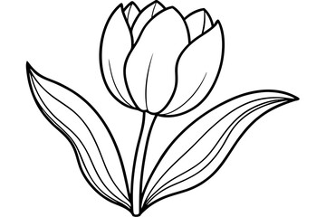 tulip line art silhouette vector illustration