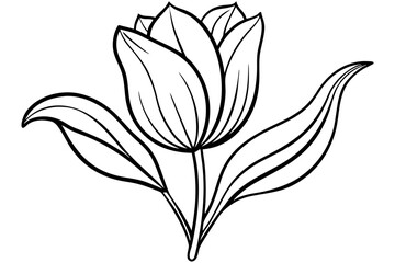 tulip line art silhouette vector illustration