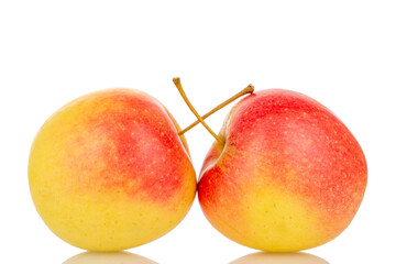 Two juicy apples, macro, isolated on white background.