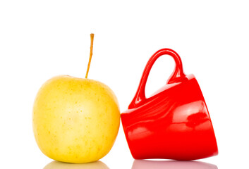 One juicy apple with red ceramic cup, close-up, isolated on white background.