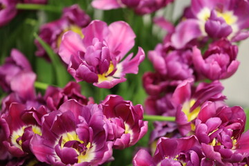 A close-up shot of a vibrant purple flower bouquet.