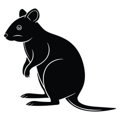 Quokka silhouettes and icons. black flat color simple elegant Quokka animal vector and illustration.
