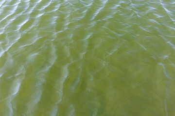 Ripples on surface of green water