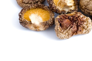 Dried shiitake mushrooms on a white surface, captured with precision to highlight their natural, earthy details.