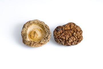 Dried shiitake mushrooms arranged neatly on a white backdrop, showcasing rich textures and earthy tones.
