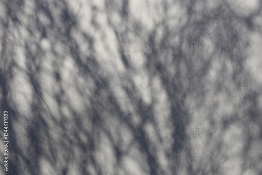 Poster light wall with shadows from tree branches.
