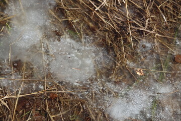 A close-up shot of snow covering the ground, suitable for winter-themed projects or backgrounds.