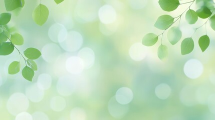 Fototapeta premium Fresh Green Leaves Bokeh Natural Spring Background, foliage , freshness
