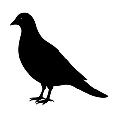 Obraz premium Silhouette of a pigeon on a white background, black and gray illustration of a bird with wings and beak