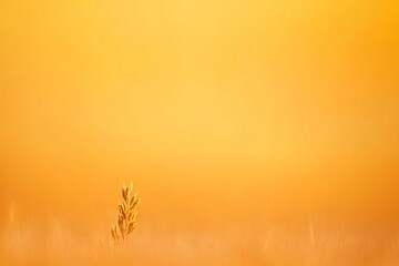 Obraz premium A smooth, orange background with subtle grain, yellow and blurred, with a depth of field, low contrast, minimalist, captured during the golden hour, with a centered composition, high resolution, close