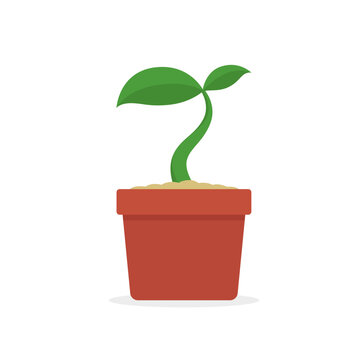 green sprout growing red pot clip art preview