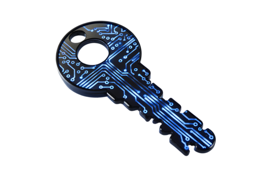  Digital Circuit Key isolated