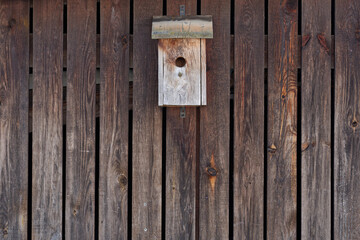 bird house on wooden background