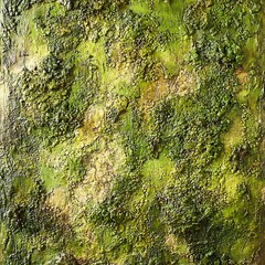 Obraz premium Lush Green Moss Texture for Forest Background.
