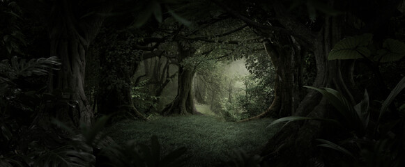 Sunlight streaming through the dense foliage of a tropical rainforest