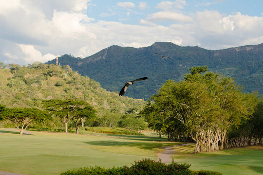 Scenic Golf Course at Villeta, Cundinamarca, Colombia. Verdant Fairways Framed by Majestic Mountains