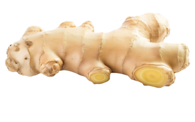 A ginger root tupinambar on Png Format and Transparent Background