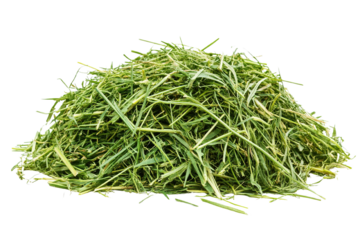 Bunch of green grass isolated on transparent png. cutout.