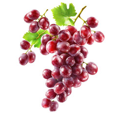 Fototapeta premium red grapes isolated on white