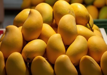 Fresh, ripe mangoes stacked together, showcasing their vibrant yellow color