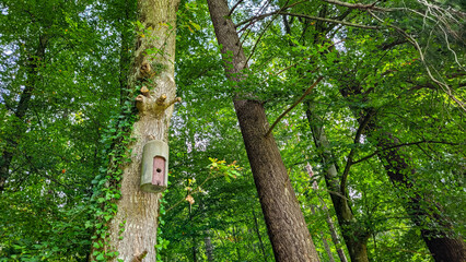 Fototapeta premium Concrete green-brown birdhouse on a tree in the green forest. The birds world.