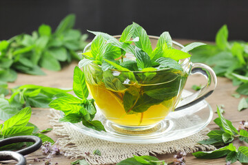 Mint herbal leaf tea with herb leaves nearby on rustic wood, closeup, copy space, healthy homemade ...