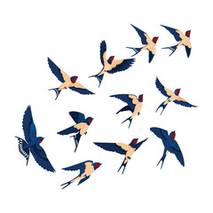 Colorful small birds flying on the sky