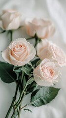 Obraz premium Soft Pink Roses in a Delicate Floral Arrangement Showcasing Beauty and Elegance