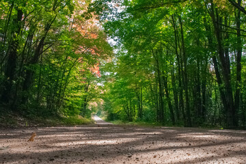 Fototapeta premium Dirt road autumn in michigan's upper peninsula 