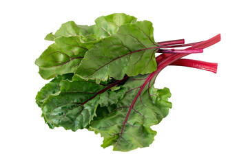 Fresh raw leaves of chard, beet leaves, isolated on a transparent background