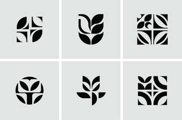 Abstract Geometric Wheat Designs for Branding or Web