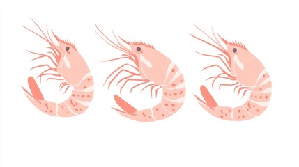 Obraz premium Trio of pink shrimp illustrations on white background for seafood and culinary themes
