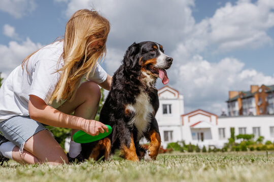 The owner is in the park playing fetch with their dog using a flying disc on a sunny day