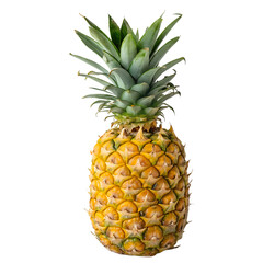 Fototapeta premium A ripe and fresh pineapple with its spiky green leaves, isolated on white or transparent PNG. Great for tropical, summer, and food-related designs.