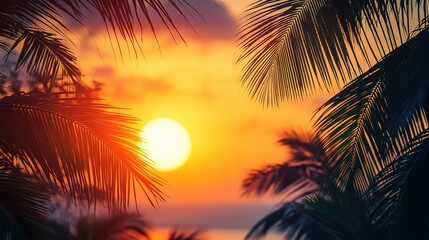 Tranquil Sunset Behind Palm Trees in a Tropical Summer Scene