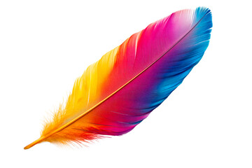 Vibrant feather with a gradient of colors