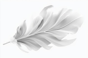 Obraz premium A bird feather with delicate details and natural curves isolated on a white background ideal for showcasing natural beauty and intricate design.