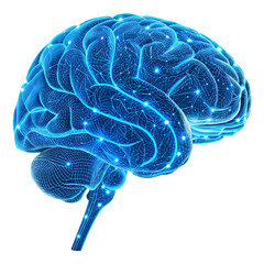 Human Brain: Neural Network, AI Concept