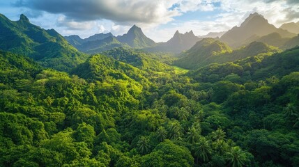 Lush Green Mountain Landscape with Dense Forest and Serene Valley under a Clear Blue Sky