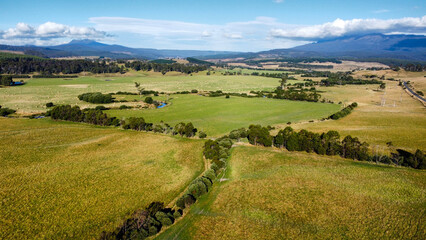 A winding road between lush green fields , seen from above